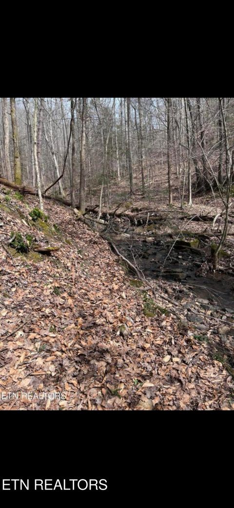 Tiny photo for Watson Branch Lane, Speedwell, TN 37870 (MLS # 1328460)