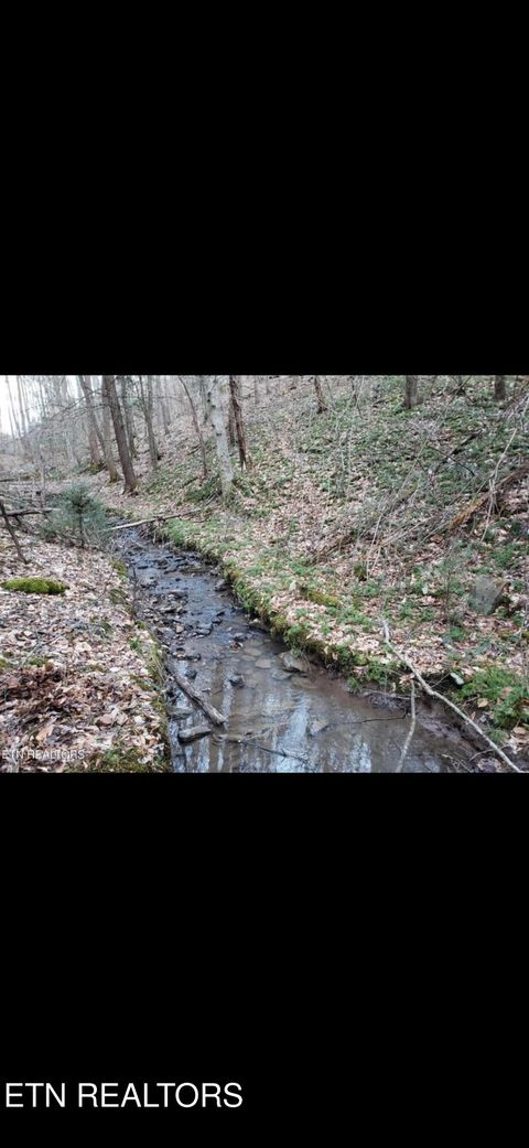 Tiny photo for Watson Branch Lane, Speedwell, TN 37870 (MLS # 1328460)