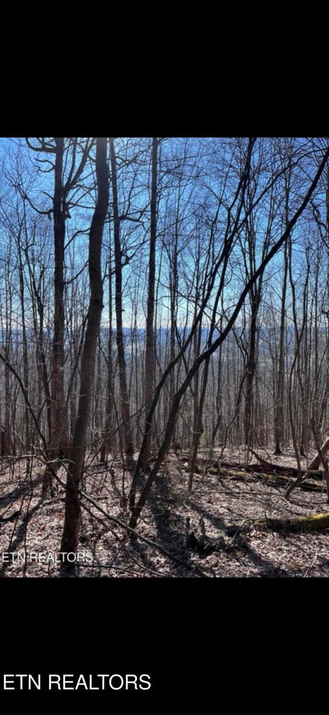 Tiny photo for Watson Branch Lane, Speedwell, TN 37870 (MLS # 1328460)