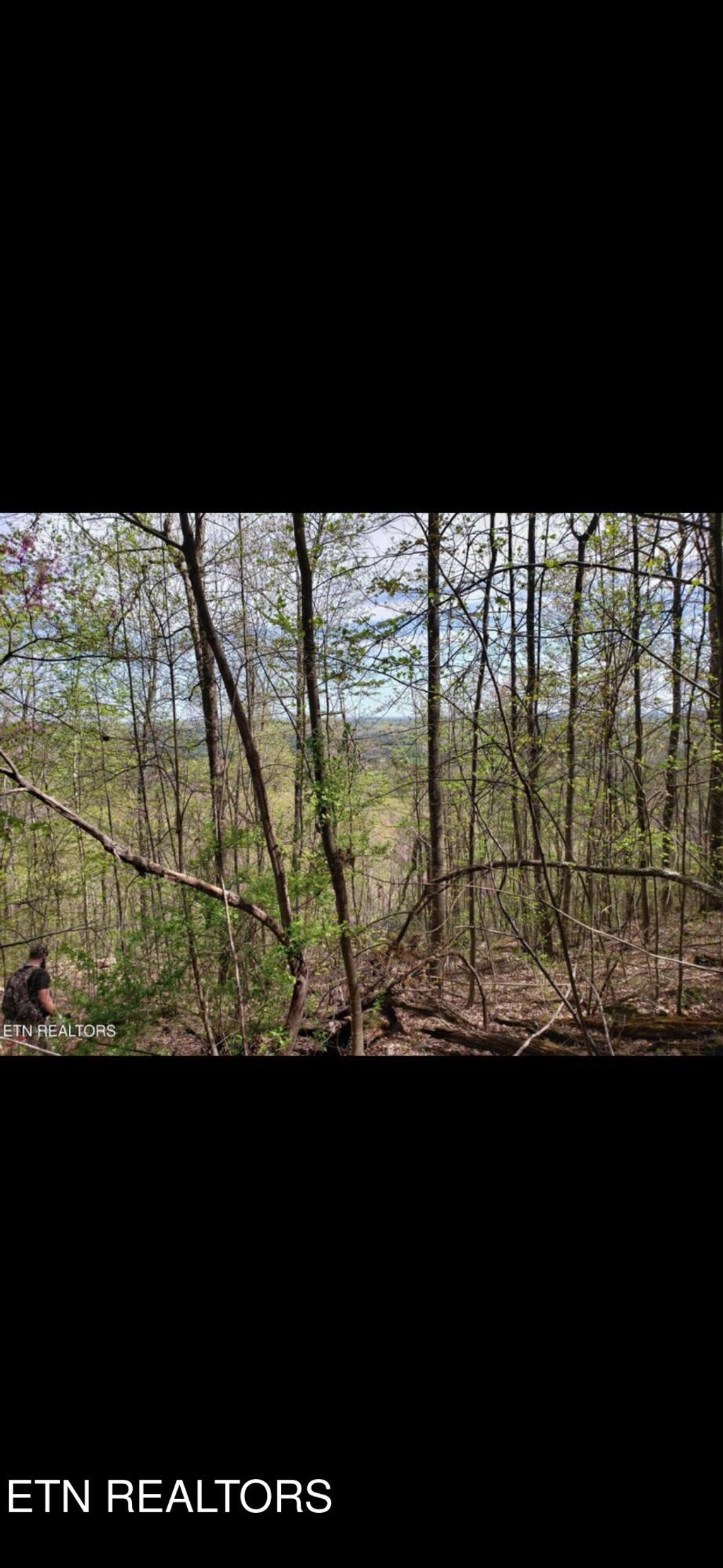 Photo of Watson Branch Lane, Speedwell, TN 37870 (MLS # 1328460)