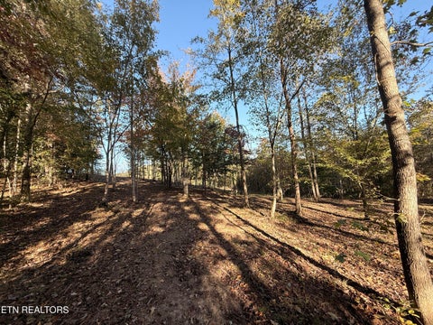 Tiny photo for 444 Roses Creek Rd, Clairfield, TN 37715 (MLS # 1355824)