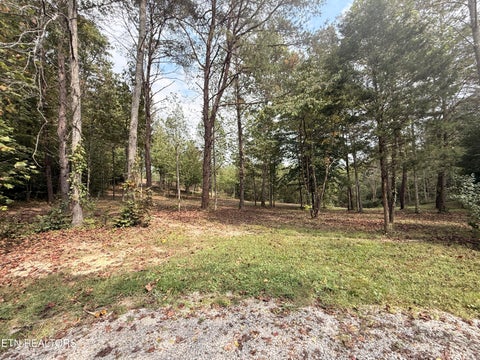 Tiny photo for 444 Roses Creek Rd, Clairfield, TN 37715 (MLS # 1355824)