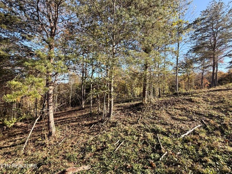 Tiny photo for 444 Roses Creek Rd, Clairfield, TN 37715 (MLS # 1355824)