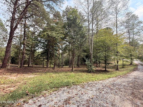 Tiny photo for 444 Roses Creek Rd, Clairfield, TN 37715 (MLS # 1355824)