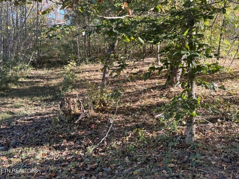 Tiny photo for 444 Roses Creek Rd, Clairfield, TN 37715 (MLS # 1355824)