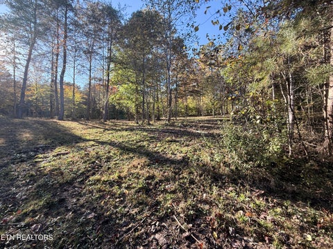 Tiny photo for 444 Roses Creek Rd, Clairfield, TN 37715 (MLS # 1355824)