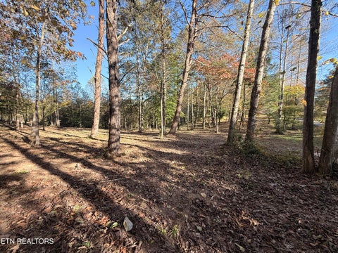 Tiny photo for 444 Roses Creek Rd, Clairfield, TN 37715 (MLS # 1355824)