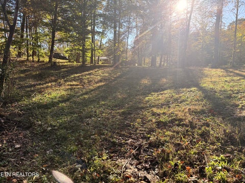 Tiny photo for 444 Roses Creek Rd, Clairfield, TN 37715 (MLS # 1355824)