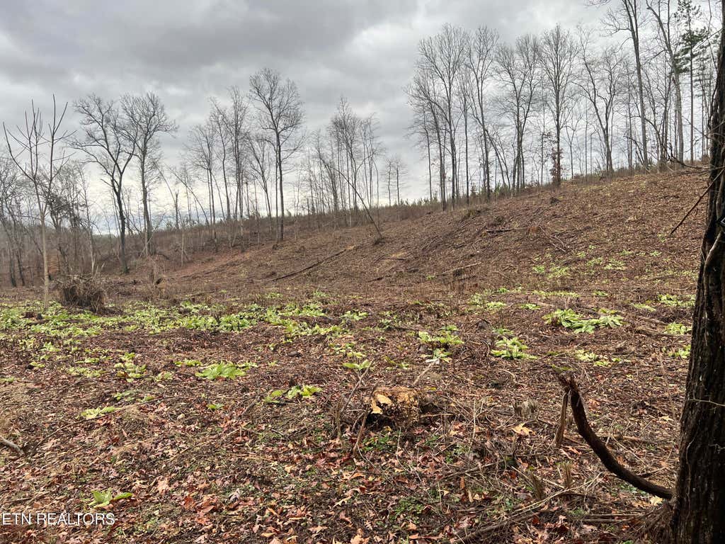Photo of 2 Arwine Road, Decatur, TN 37322 (MLS # 1285656)