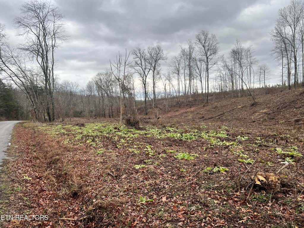 Photo of 2 Arwine Road, Decatur, TN 37322 (MLS # 1285656)