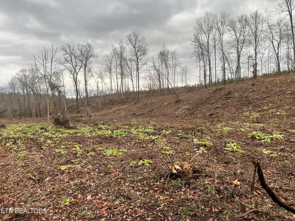Photo of 2 Arwine Road, Decatur, TN 37322 (MLS # 1285656)