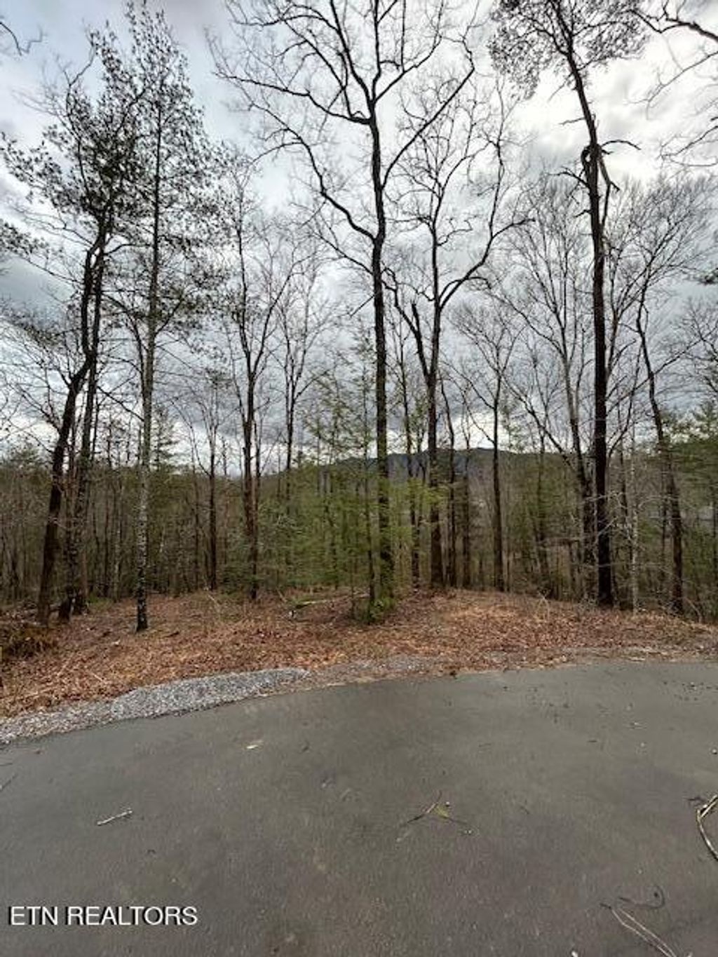 Photo of 329 Beckett Ridge Rd, Townsend, TN 37882 (MLS # 1252982)