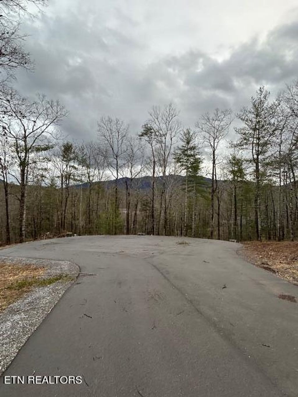 Photo of 329 Beckett Ridge Rd, Townsend, TN 37882 (MLS # 1252982)