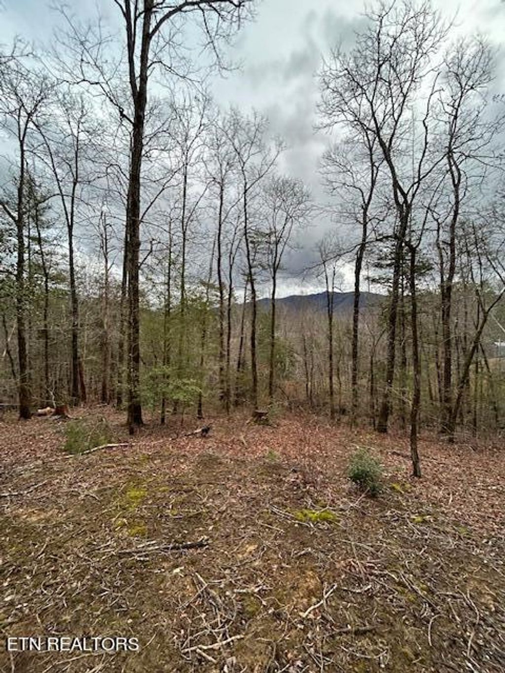 Photo of 329 Beckett Ridge Rd, Townsend, TN 37882 (MLS # 1252982)