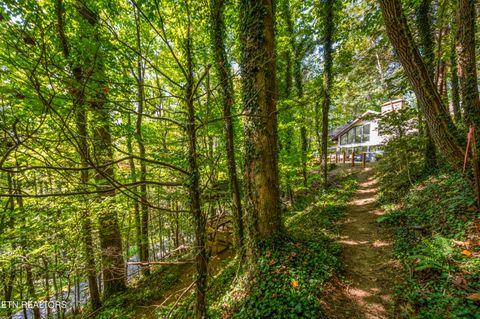 Tiny photo for 366 Saint Andrews Way, Gatlinburg, TN 37738 (MLS # 1316709)