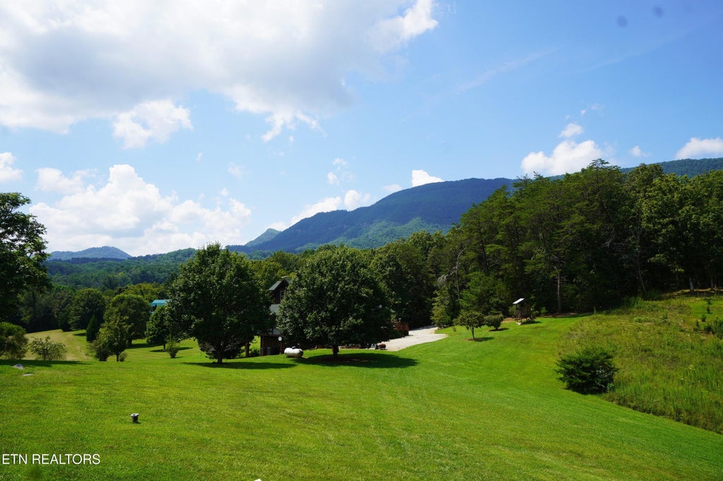 Photo of 570 McGaha Chapel Rd, Cosby, TN 37722 (MLS # 1314602)
