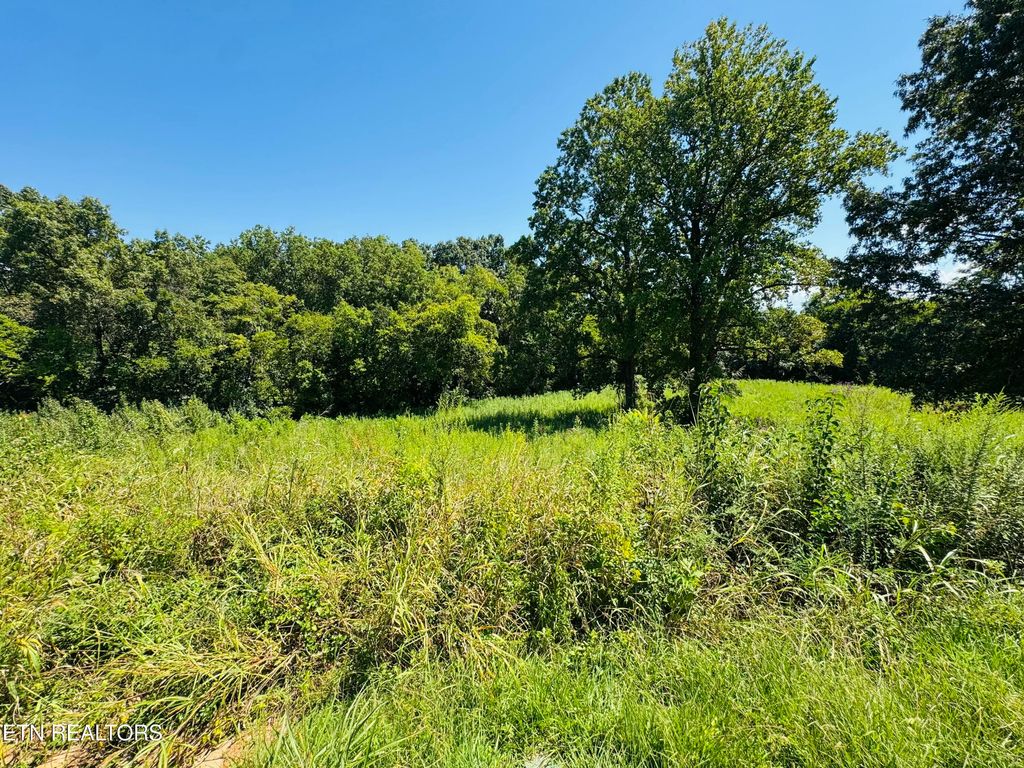 Photo of 2102 Kings View Loop, Seymour, TN 37865 (MLS # 1314447)
