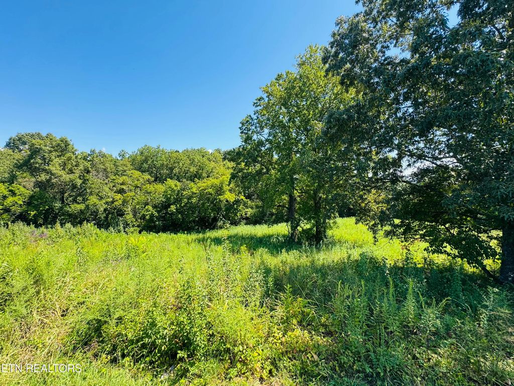 Photo of 2102 Kings View Loop, Seymour, TN 37865 (MLS # 1314447)