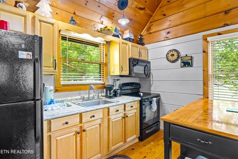 Tiny photo for 1017 Walini Way, Sevierville, TN 37876 (MLS # 1339275)