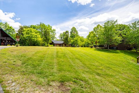 Tiny photo for 1017 Walini Way, Sevierville, TN 37876 (MLS # 1339275)