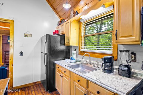 Tiny photo for 1017 Walini Way, Sevierville, TN 37876 (MLS # 1339275)
