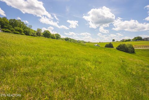 Tiny photo for 73 Windy Sails Lane, Sharps Chapel, TN 37866 (MLS # 1338463)