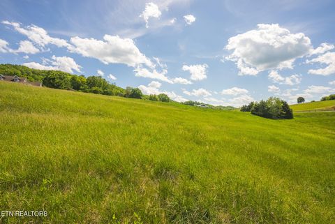 Tiny photo for 73 Windy Sails Lane, Sharps Chapel, TN 37866 (MLS # 1338463)