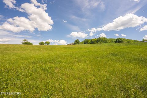 Tiny photo for 73 Windy Sails Lane, Sharps Chapel, TN 37866 (MLS # 1338463)