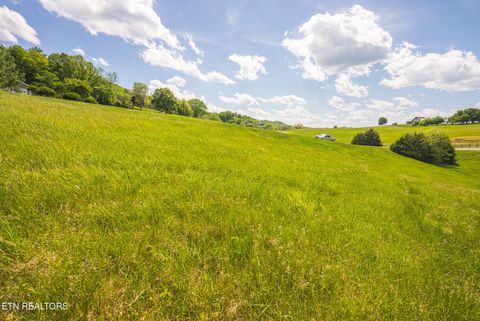 Tiny photo for 73 Windy Sails Lane, Sharps Chapel, TN 37866 (MLS # 1338463)