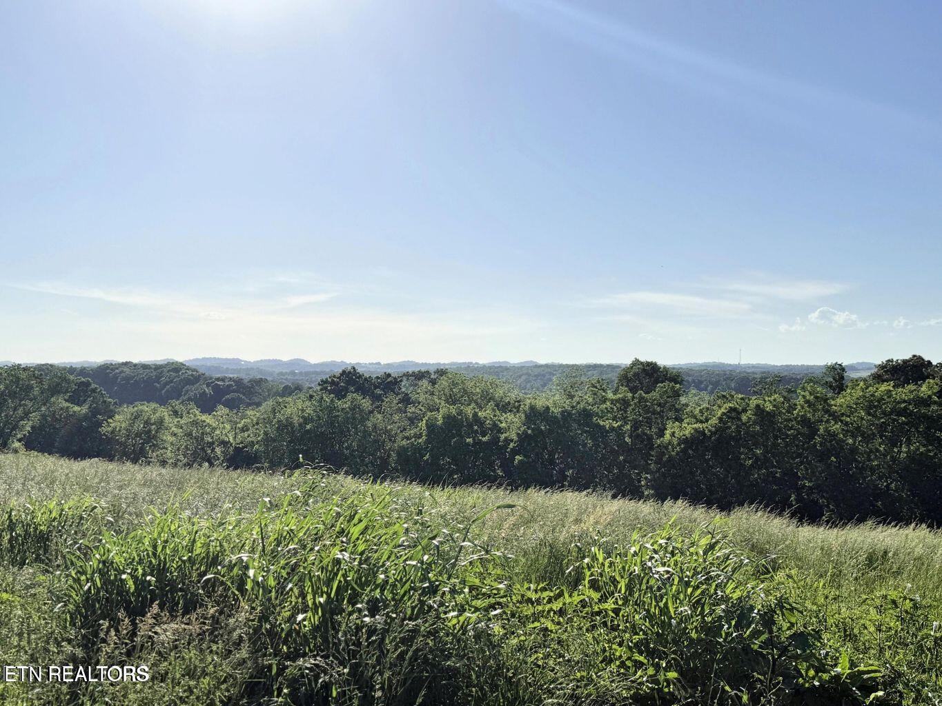 lot 4 Stone Lane