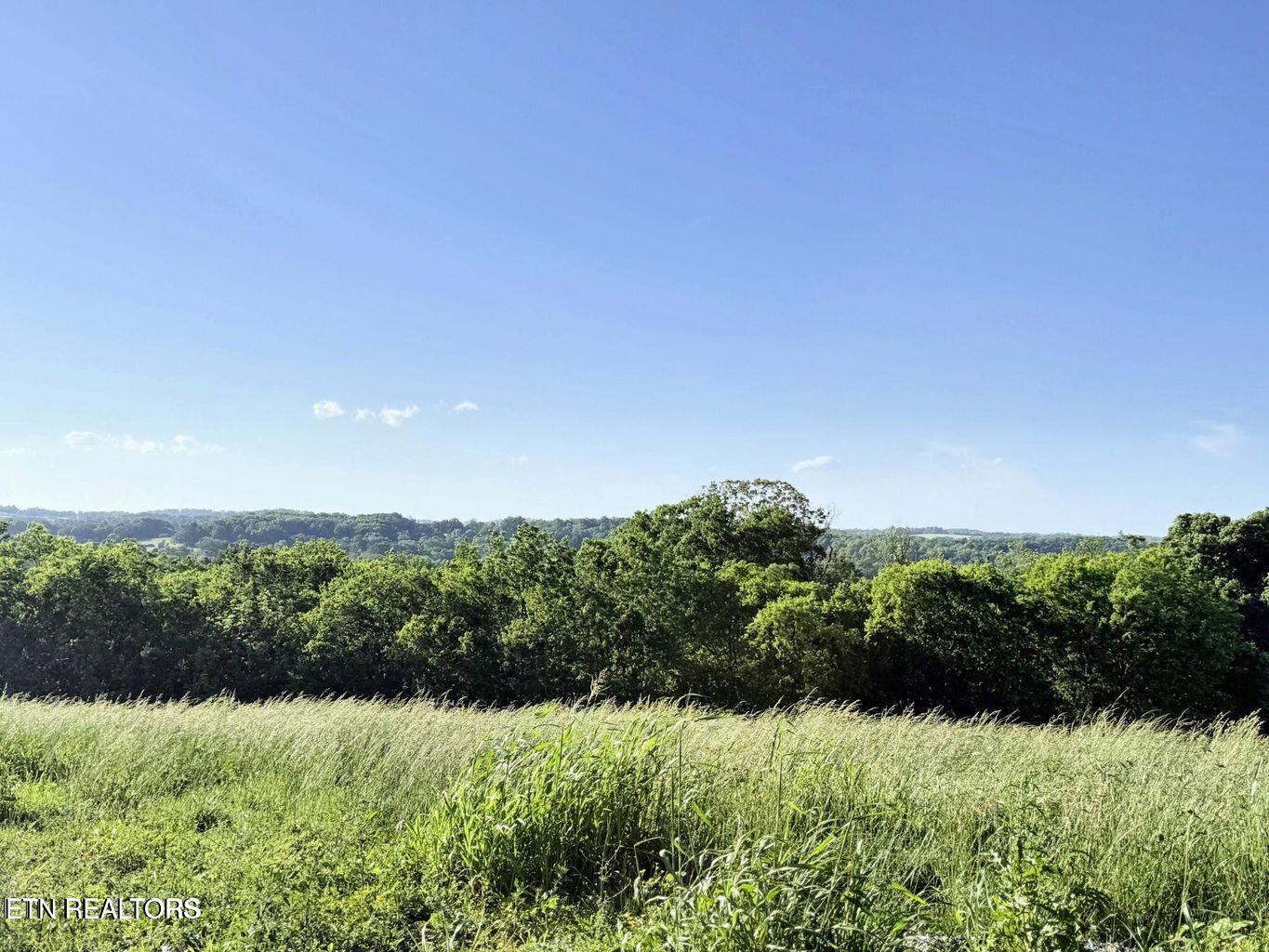 lot 4 Stone Lane