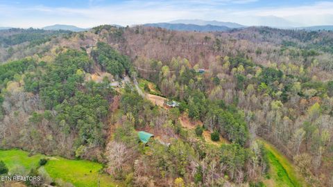 Tiny photo for 1917 Lee Proffitt Way, Sevierville, TN 37876 (MLS # 1334785)