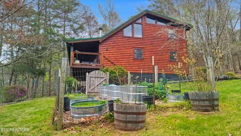 Tiny photo for 1917 Lee Proffitt Way, Sevierville, TN 37876 (MLS # 1334785)