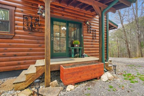 Tiny photo for 1917 Lee Proffitt Way, Sevierville, TN 37876 (MLS # 1334785)