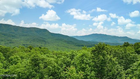 Tiny photo for 3710 Weber Rd #B203, Gatlinburg, TN 37738 (MLS # 1342081)