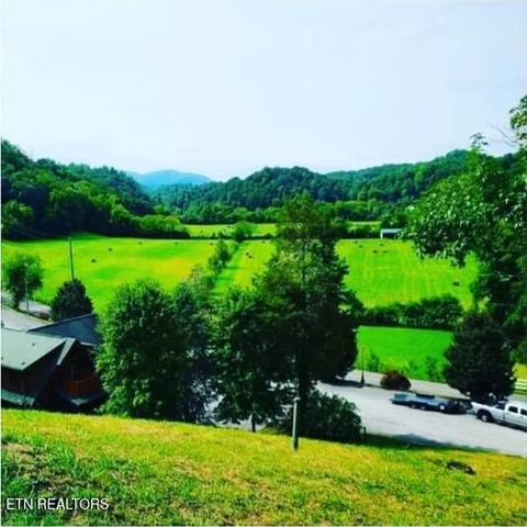Tiny photo for 1624 Mountain Lodge Way, Pigeon Forge, TN 37862 (MLS # 1330237)