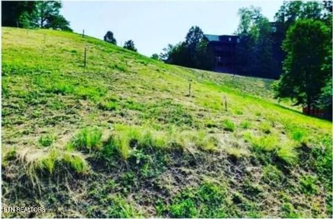 Tiny photo for 1624 Mountain Lodge Way, Pigeon Forge, TN 37862 (MLS # 1330237)