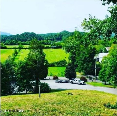 Tiny photo for 1624 Mountain Lodge Way, Pigeon Forge, TN 37862 (MLS # 1330237)