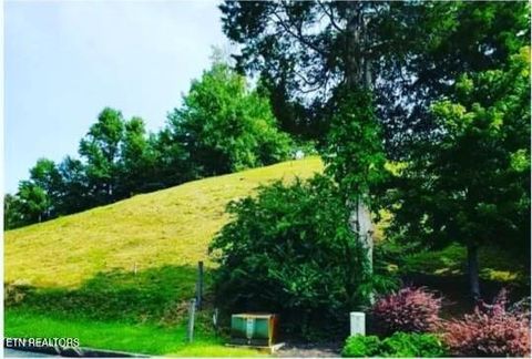 Tiny photo for 1624 Mountain Lodge Way, Pigeon Forge, TN 37862 (MLS # 1330237)