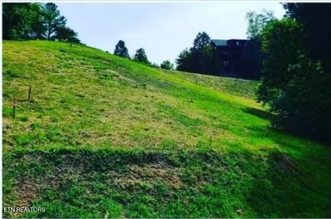 Photo of 1624 Mountain Lodge Way, Pigeon Forge, TN 37862 (MLS # 1330237)