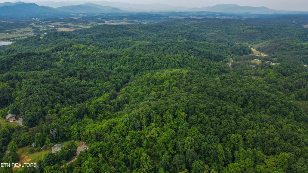 Photo of 0 Looney Road Rd, Parrottsville, TN 37843 (MLS # 1290581)