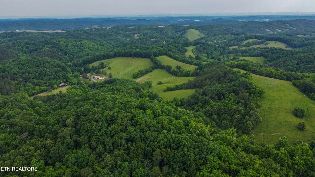 Photo of 0 Looney Road Rd, Parrottsville, TN 37843 (MLS # 1290581)