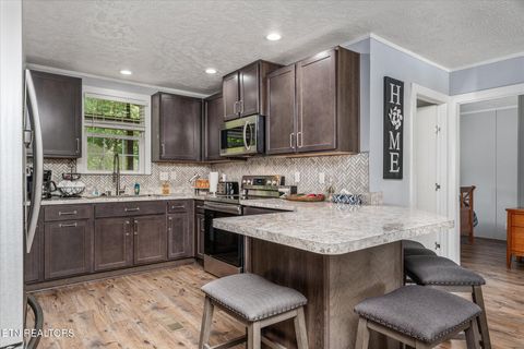 Tiny photo for 2025 Shiloh Rd, Decatur, TN 37322 (MLS # 1321700)