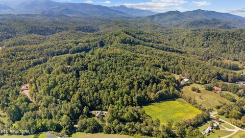 Tiny photo for 0 Jones Cove Rd, Cosby, TN 37722 (MLS # 1317326)