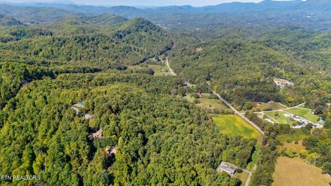 Tiny photo for 0 Jones Cove Rd, Cosby, TN 37722 (MLS # 1317326)