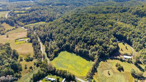 Tiny photo for 0 Jones Cove Rd, Cosby, TN 37722 (MLS # 1317326)