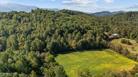 Tiny photo for 0 Jones Cove Rd, Cosby, TN 37722 (MLS # 1317326)