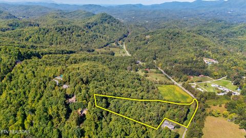 Tiny photo for 0 Jones Cove Rd, Cosby, TN 37722 (MLS # 1317326)