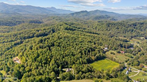 Tiny photo for 0 Jones Cove Rd, Cosby, TN 37722 (MLS # 1317326)