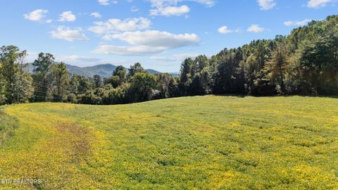 Tiny photo for 0 Jones Cove Rd, Cosby, TN 37722 (MLS # 1317326)